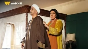 توقيت عرض وإعادة الحلقة 14 من مسلسل بيبو على الشاشة
